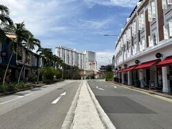 Tanjong Pagar Conservation Area (D2), Shop House #462035951